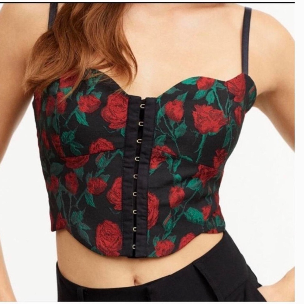 For Love and Lemons x Victoria Secret Vivian Bustier NWT